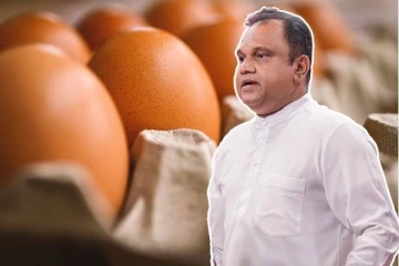 முட்டை இறக்குமதி தொடர்பில் வெளியான தகவல்