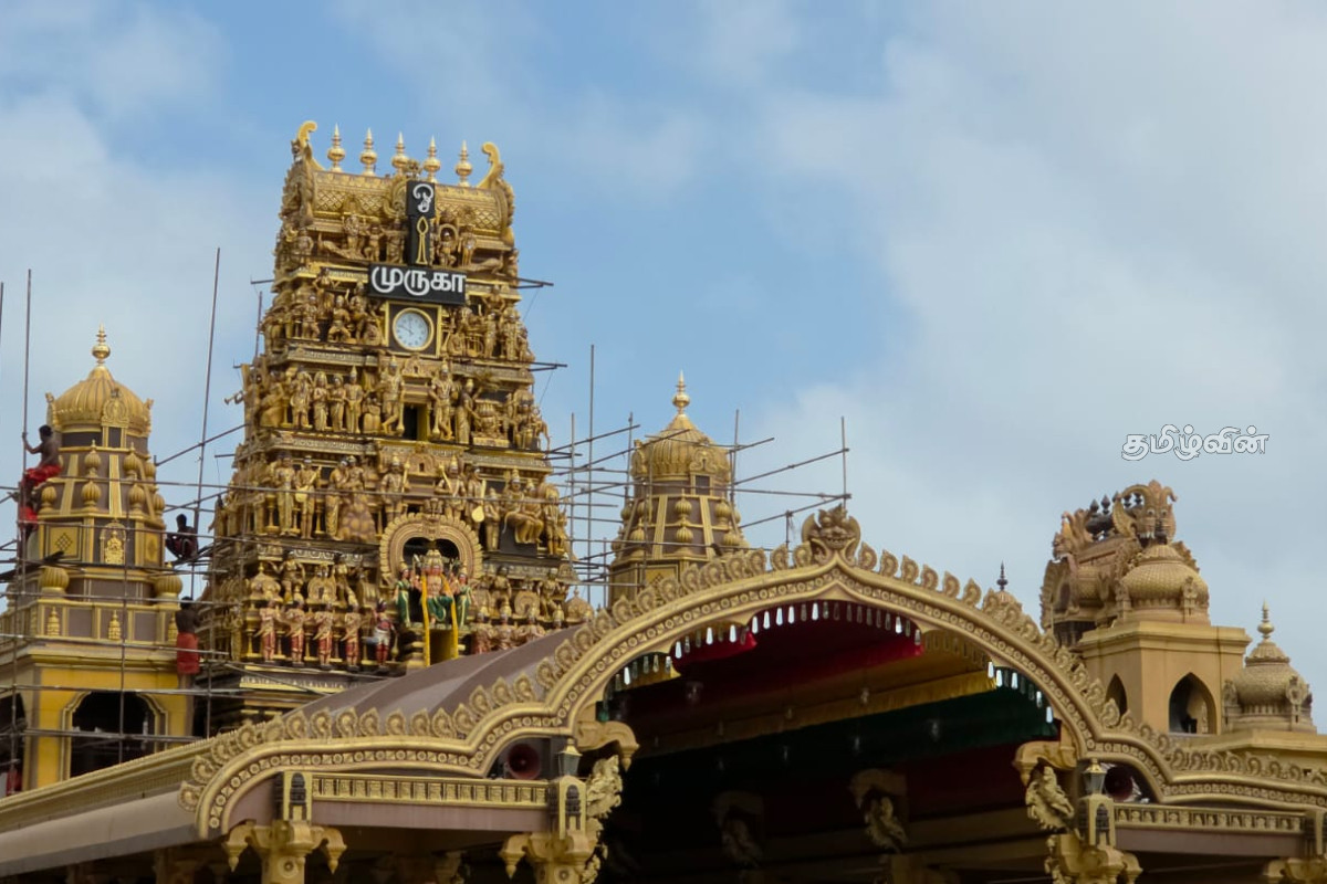பாரம்பரிய மரபுடன் நல்லூர் கந்தசுவாமி ஆலயத்தை வந்தடைந்த புனிதக் கொடிச்சீலை | Sacred Flagpole Nallur Kandaswamy பாரம்பரிய மரபுடன் நல்லூர் கந்தசுவாமி ஆலயத்தை வந்தடைந்த புனிதக் கொடிச்சீலை | Sacred Flagpole Nallur Kandaswamy