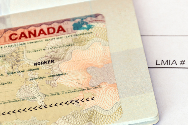 கனடா விசா பெற்றுள்ளவர்களுக்கு வெளியான முக்கிய தகவல்! | Canada Work Study Permit Visa Policy Change கனடா விசா பெற்றுள்ளவர்களுக்கு வெளியான முக்கிய தகவல்! | Canada Work Study Permit Visa Policy Change