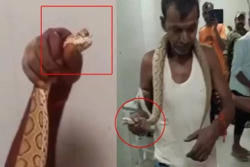 இதோ.. இந்த பாம்புதான் கடித்தது.. கையோடு எடுத்து வந்த நபர் - அலறிய மருத்துவமனை!