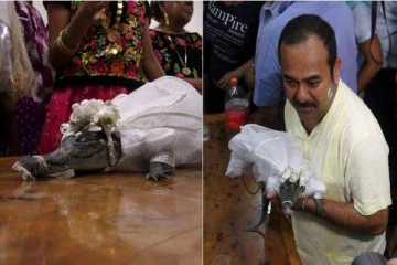 முதலையை திருமணம் செய்துகொண்ட மேயர் - மெக்சிகோவில் நடந்த வினோத சடங்கு!