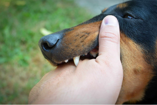 உடன் வைத்திய உதவியை நாடவும் - பொது மக்களுக்கு அவசர அறிவுறுத்தல் | Health Authorities Alert Public