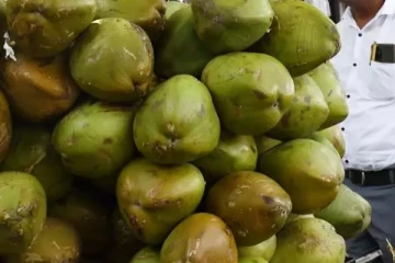 இலங்கைக்கு வருமானத்தை அள்ளிக்கொடுக்கும் இளநீர்!