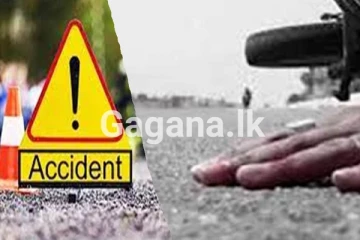 සිව්දෙනෙකුට දිවි අහිමි කළ බිහිසුණු රිය අනතුරු...