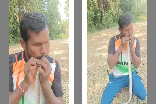 வாய் மேல் வாய் வைத்து பாம்பிற்கு உயிர் கொடுத்த நபர் - வைரல் காணொளி | Man Saves Electrocuted Snake S Life With Cpr வாய் மேல் வாய் வைத்து பாம்பிற்கு உயிர் கொடுத்த நபர் - வைரல் காணொளி | Man Saves Electrocuted Snake S Life With Cpr