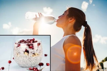 வெயில் காலத்தை கடக்க நல்லதொரு ஐடியா ; உடலின் வெப்பநிலையை குறைக்கும் சியா விதைகள்