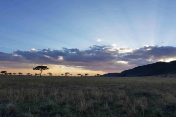 optical illusion: படத்தில் மலையடிவாரத்தில் இருக்கும் யானையை கண்டுபிடிக்க முடியுமா?