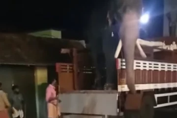 பயந்து ஓடிய யானை!  அதிர்ஷ்டவசமாக உயிர் தப்பிய இளைஞர்