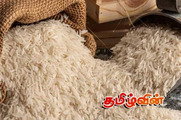 வெள்ளத்தால் சேதமடைந்த அரிசி, மனித நுகர்வுக்கு-விடுக்கப்பட்டுள்ள எச்சரிக்கை!