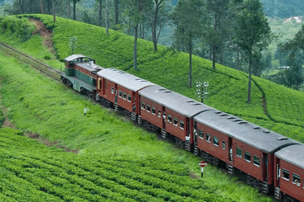 சீரற்ற காலநிலையால் பல ரயில்கள் ரத்து | Several Trains Cancelled Due To Inclement Weather