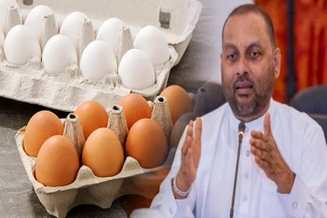 முட்டைக்கு கட்டுப்பாட்டு விலை விரைவில்