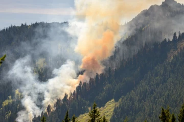 அதிகரிக்கும் காட்டுத்தீப் பரவல் ; அனர்த்த முகாமைத்துவ நிலையம் எச்சரிக்கை