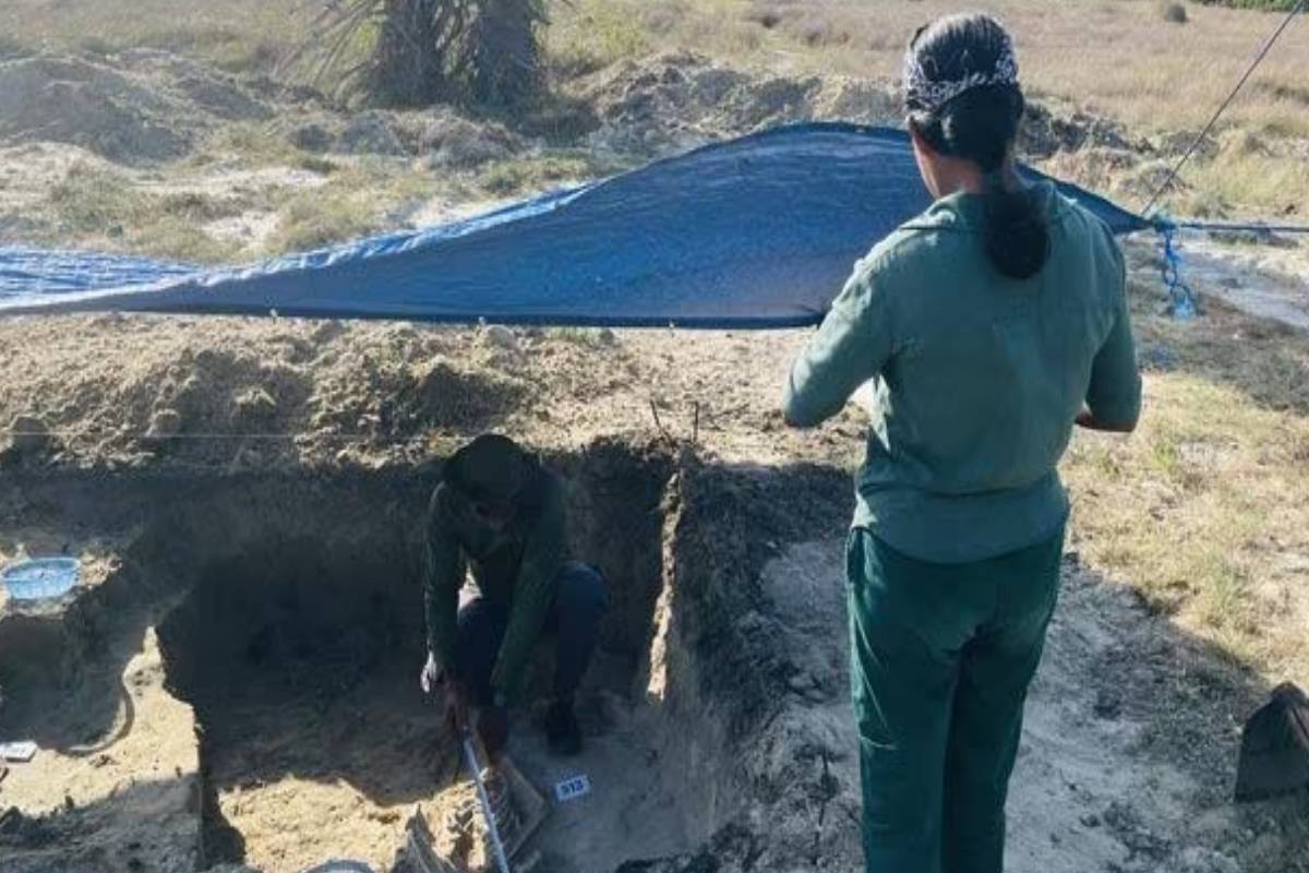 யாழ். செம்மணி அகழ்வுப் பணி தீவிரம் ; ஒரே நாளில் 10 எலும்புக்கூடுகள் மீட்பு | Jaffna Chemmani 10 Skeletons Recovered Single Day