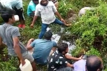 අයි.ඕ.සී. ඩීසල් පාර පුරා - ජනතාව ඩීසල් එකතු කරයි.. (VIDEO)