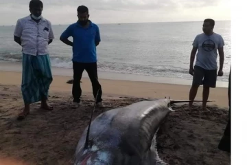அம்பாறையில் இன்று மீனவருக்கு அடித்த அதிஷ்டம்