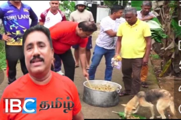 நாய்களுக்கு அன்னதானம் வழங்கும் எம்.பி