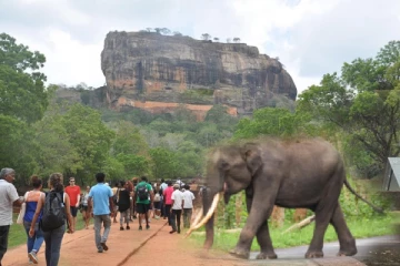கனடாவில் இருந்து இலங்கை வந்த பெண் : மயிரிழையில் உயிர் தப்பிய அதிர்ச்சி சம்பவம்