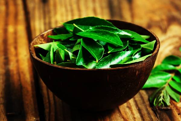 அடத்தியான முடிவளர்ச்சிக்கு கறிவேப்பிலையில் சிறந்த ஆயுர்வேத எண்ணெய்! | Ayurveda Curry Leaves Hair Oil For Hair Growth