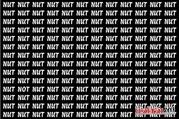 Optical Illusion: படத்தில் ஓரெழுத்து வித்தியாசத்தில் "Not" என்ற வார்தை எங்கே?