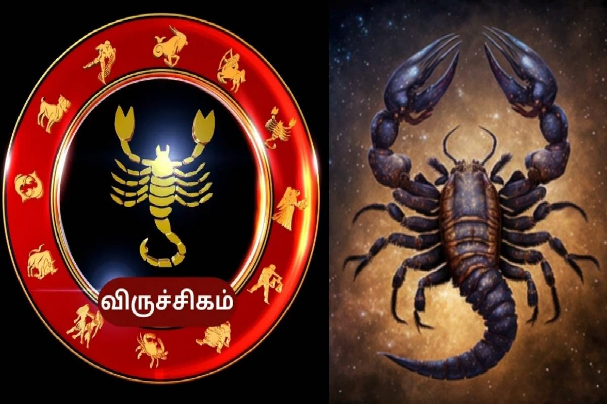 சனி வக்ர பெயர்ச்சியால் உச்சத்திற்கு செல்லப்போகும் ராசிகள்! 6 மாதங்குள்கு நீங்க தான் ராஜா | Saturn Retrograde Transit Luck These Zodiac Signs