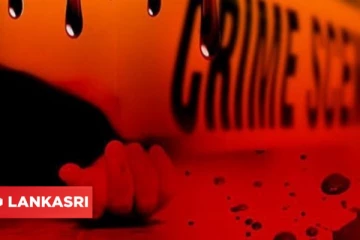 வோட்கா பார்ட்டி வைத்து நண்பனை கொலை செய்து பூனைகளுக்கு விருந்தாக்கிய நபர்! அதிர்ச்சியூட்டும் சம்பவம்!