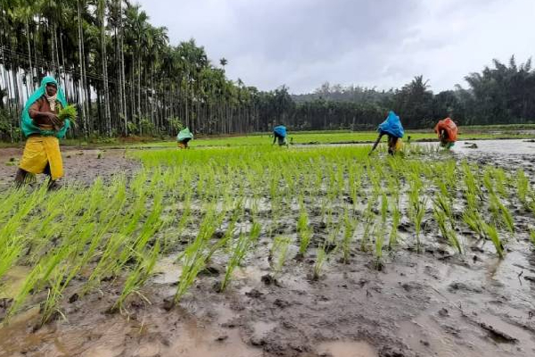 விவசாயிகளுக்கு யாழ்ப்பாணத்தில் காத்திருக்கும் மகிழ்ச்சி தகவல்! | Training Workshop For Farmers In Jaffna
