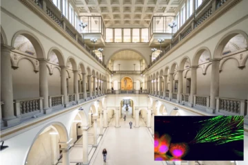 உடலிலுள்ள நல்ல செல்களை தங்களுக்காக வேலைவாங்கும் புற்றுநோய் செல்கள்: ஒரு ஆச்சரிய கண்டுபிடிப்பு