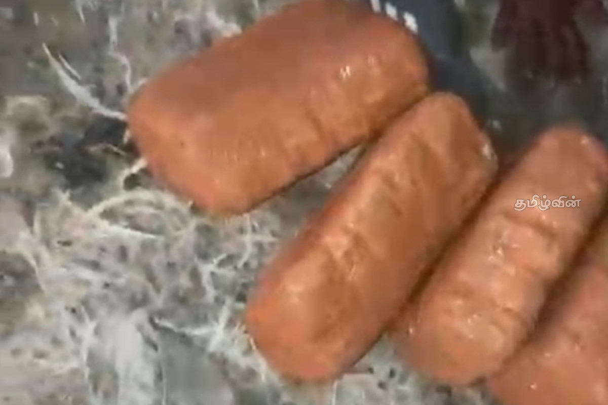 கிளிநொச்சியில் சூட்சுமமாக மறைத்து எடுத்துச் செல்லப்பட்ட கஞ்சா பொதிகள் மீட்பு: சாரதி கைது | Secretly Smuggled Into Kilinochchi Recovered