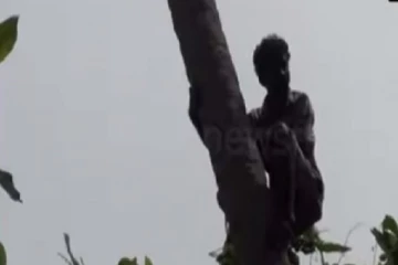 பசியை தாங்க முடியாதவர் எடுத்த விபரீத முடிவு