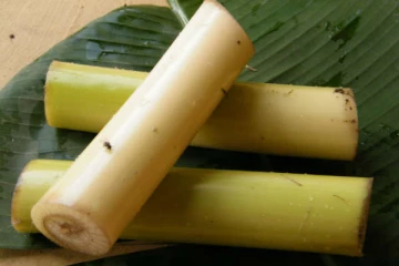 முள்ளை முள்ளால் தான் எடுக்க வேண்டும்.... உடம்பை தாறுமாறாக குறைக்க இந்த இயற்கை பொருட்கள் போதும்!