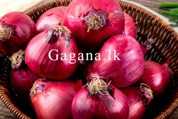 ලොකු ළූණු මිල යළි උච්චාවචනය වෙයි. - වෙනස් වූ මිල ගණන් මෙන්න.