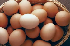 முட்டையின் விலையில் வீழ்சசி