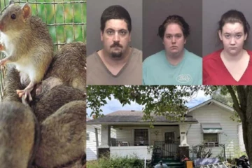 6 மாத குழந்தையின் பரிதாப நிலை... 50 இடங்களில் கடித்து குதறிய எலி