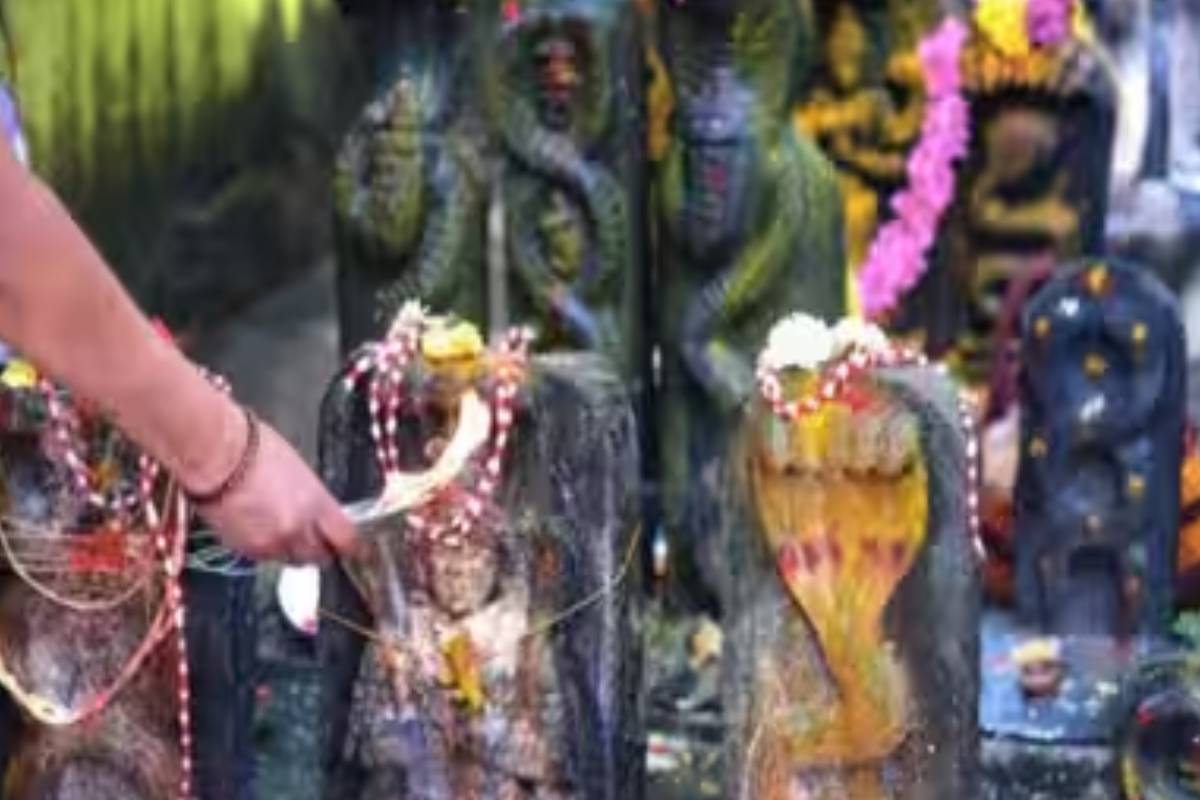 நாக பஞ்சமியில் இந்த ராசிக்காரர்களுக்கு ஜாக்பாட் அடிக்கப்போகுது | Zodiac Signs Are Going Jackpot On Naga Panchami