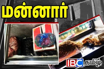 மன்னாரில் சுகாதார சீர்கேட்டுடன் இயங்கிய உணவகம்: எடுக்கப்பட்ட நடவடிக்கை