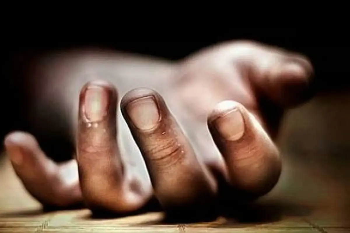 ஏணியிலிருந்து தவறி விழுந்த பெண் உயிரிழப்பு | Woman Dies After Falling From Ladder