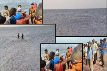 தலைமன்னார் - தனுஷ்கோடி :10 மணித்தியாலத்தில் நீந்தி சாதனை படைத்த வீர வீராங்கனைகள்!