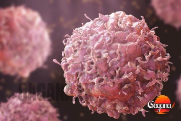 පිළිකාවට තිත? රුසියාවේ පිළිකානාෂක එන්නත සාර්ථකයි