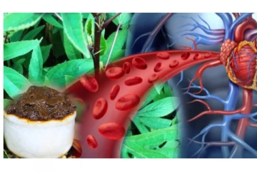 ரத்தத்தை சுத்தப்படுத்தும் புளிச்சக்கீரை தொக்கு! இந்த மாதிரி சுவையாக செய்து பாருங்க...