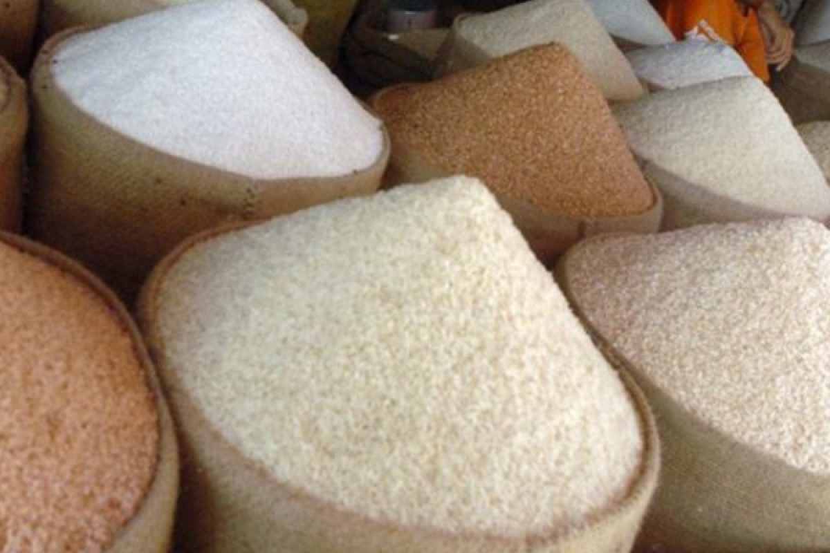 அதிகவிலைக்கு அரிசி விற்பனை : வர்த்தக நிலையங்களுக்கு விதிக்கப்பட்டது அபராதம் | Two Shops Fined Selling Rice At Higher Prices அதிகவிலைக்கு அரிசி விற்பனை : வர்த்தக நிலையங்களுக்கு விதிக்கப்பட்டது அபராதம் | Two Shops Fined Selling Rice At Higher Prices