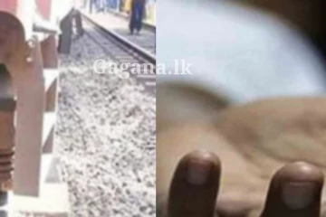 ගැබිණි ගුරුවරියක් ධාවනය වෙමින් තිබූ දුම්රියට පැනලා - හදවත් සංවේදී කළ සිදුවීම..