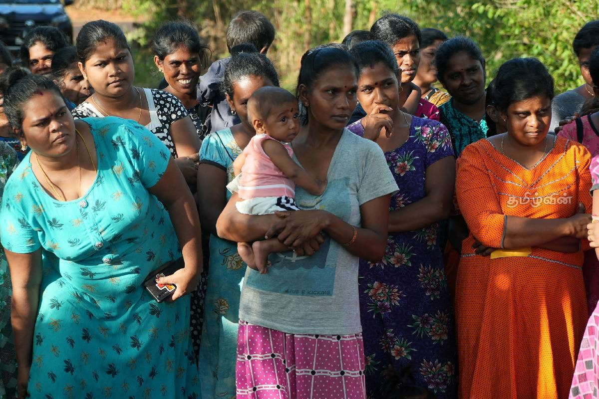 வடக்கு - கிழக்கு மாகாண சபையின் பொறுப்புகள் போராளிகள் கையில்..! சிறீதரன் எம்.பி அறைகூவல் | Sridharan North East Provincial Powers Militants வடக்கு - கிழக்கு மாகாண சபையின் பொறுப்புகள் போராளிகள் கையில்..! சிறீதரன் எம்.பி அறைகூவல் | Sridharan North East Provincial Powers Militants