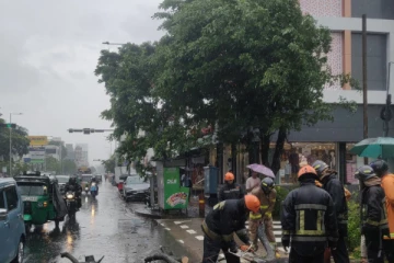 கொழும்பில் சுழற்றி அடித்த காற்று ; வேரோடு சாய்ந்த பாரிய மரம்