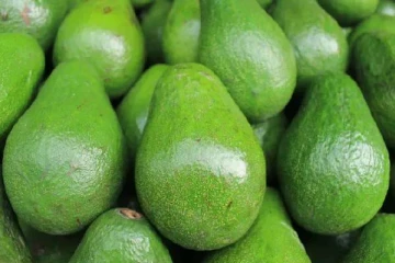 இலங்கைக்கு பெருந்தொகை டொலர்களை ஈட்டிக்கொடுக்க விசேட திட்டம்