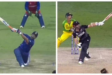 டி20 உலகக்கோப்பை இறுதிப்போட்டியில் வில்லியம்சன் வடிவில் எட்டிப்பார்த்த ரிஷப் பன்ட்!