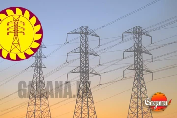 විදුලි බලයට මාර්ගෝපදේශ හදන්න විශේෂ කමිටුවක්