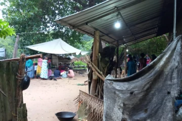 மட்டக்களப்பில் யானை தாக்கி பெண்ணொருவர் உயிரிழப்பு