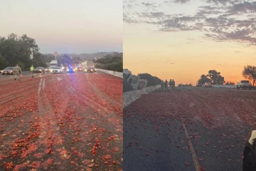 விபத்தில் 200 அடிக்கு சாலையை மூடிய தக்காளிகள்: கலிபோர்னியாவில் பரிதாபம்!