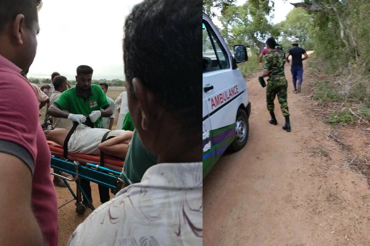 அருகம்பையில் காட்டு யானை தாக்குதல் - வெளிநாட்டுச் சுற்றுலாப் பயணி படுகாயம் | Foreign Tourist Injured In Wild Elephant Attack