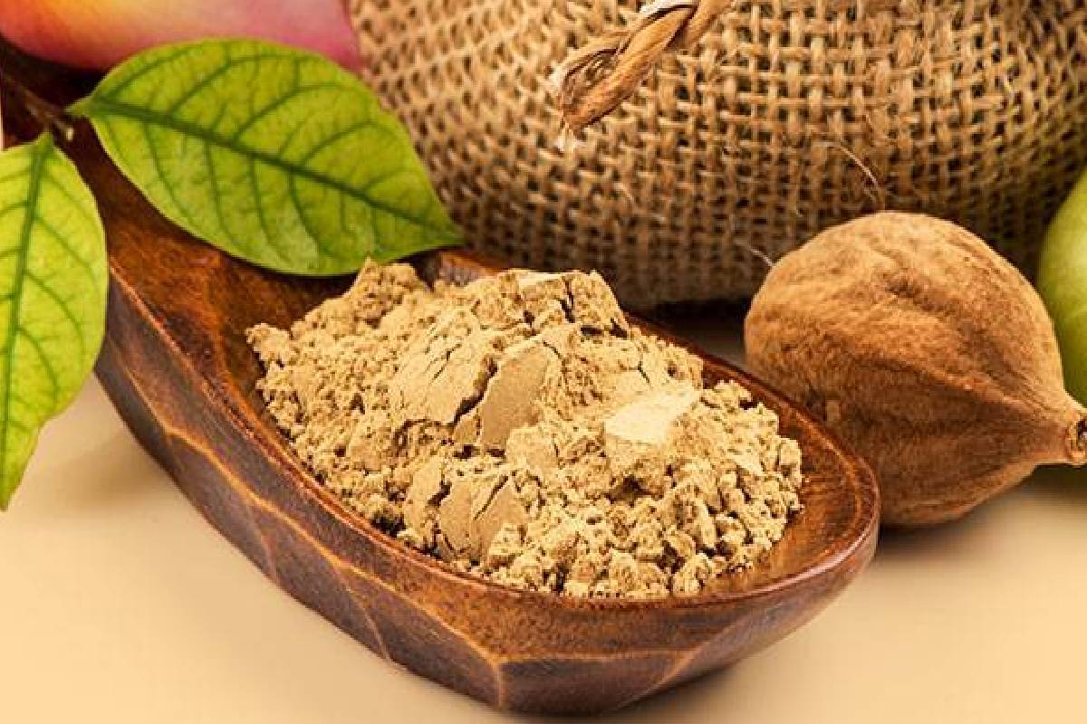 தொப்பை முதல் மலச்சிக்கல் வரை மருந்தாகும் கடுக்காய் - நன்மைகள் பற்றி தெரியுமா? | Kadukkai Benefits In Tamil